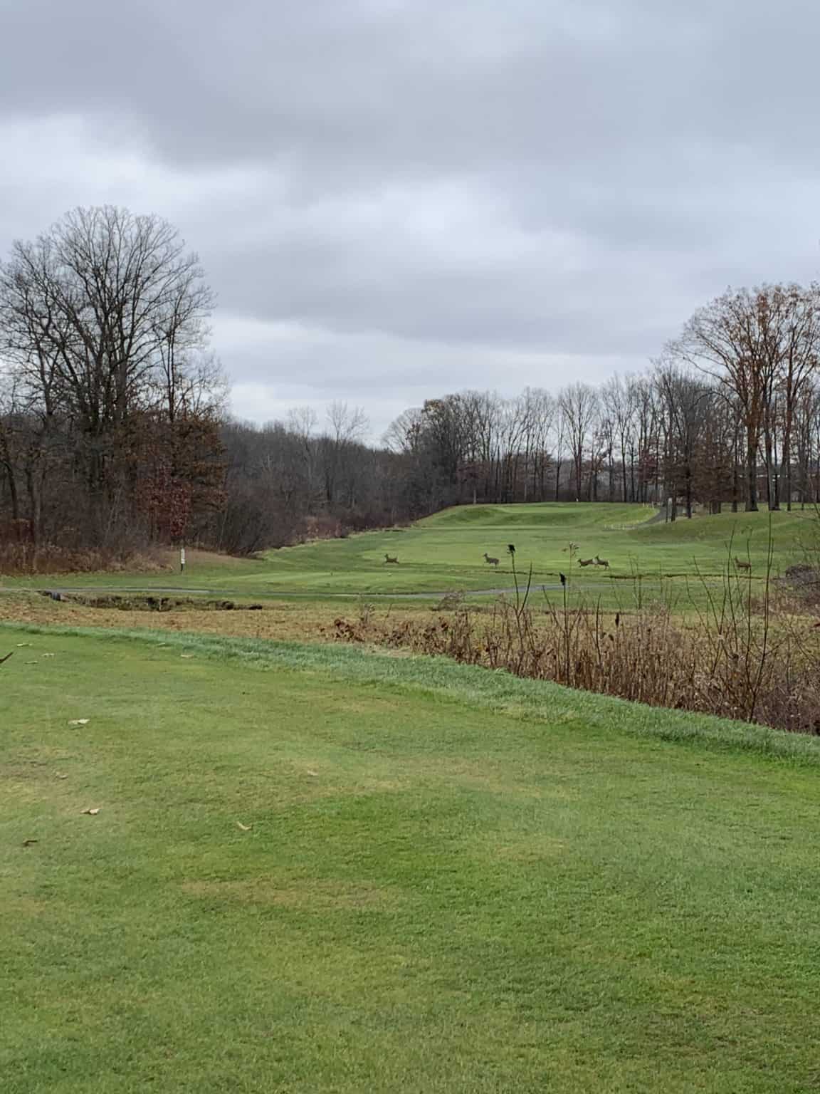 Braving the Cold: A Guide to Playing Golf in 40 Degree Weather – Golf ...